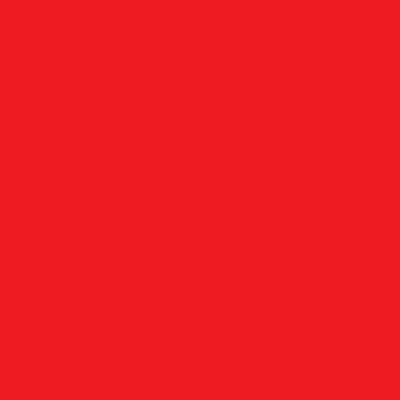Leuchtend roter Farbton für die Gestaltung von Produkten im Online-Shop, ideal für markante und auffällige Artikel.